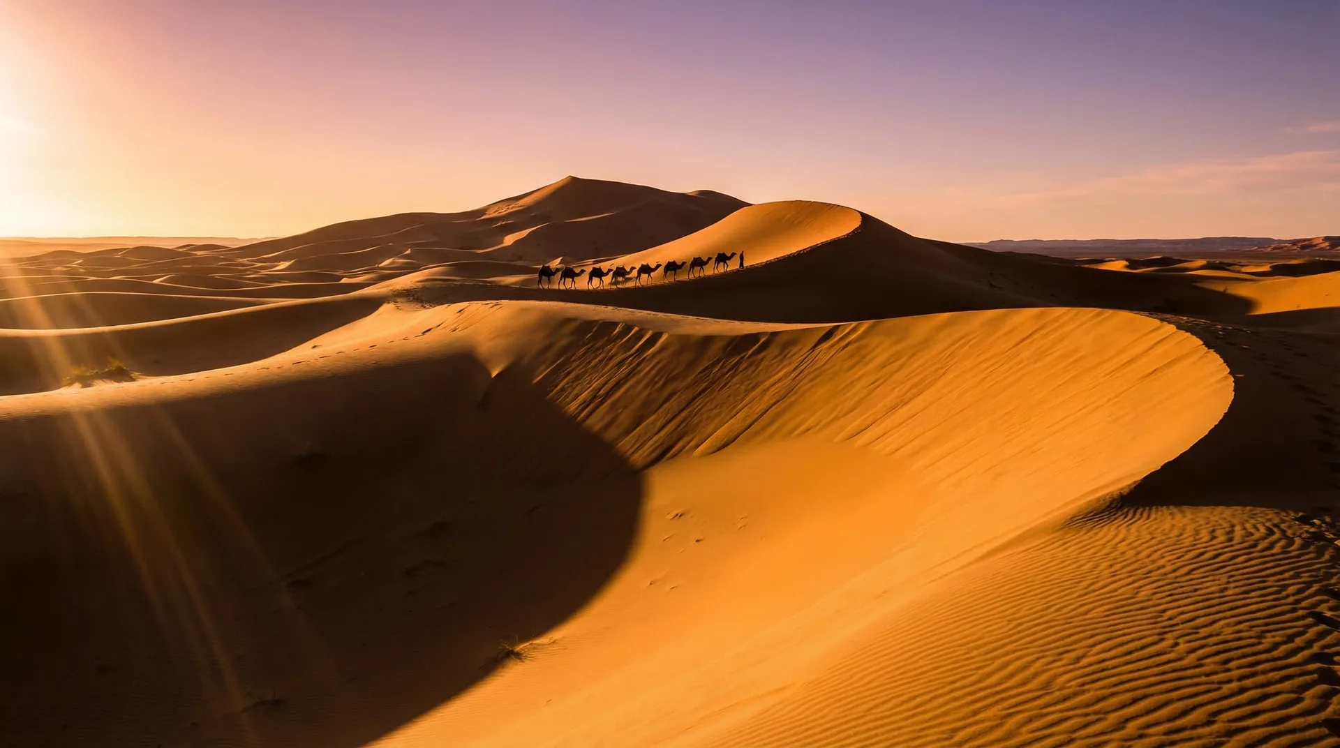 Desert Services — 4x4 Expeditions, Camel Treks, Camps & Transfers